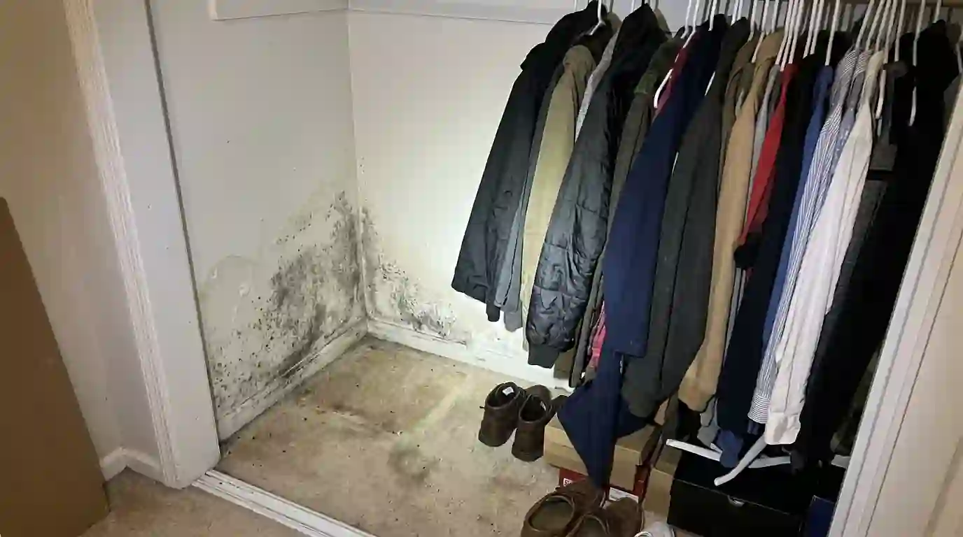 Hidden growth at the back of a closet