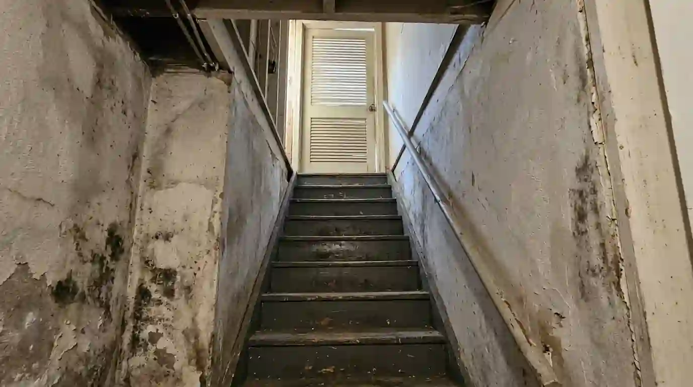 Basement stairwell with a louvered door