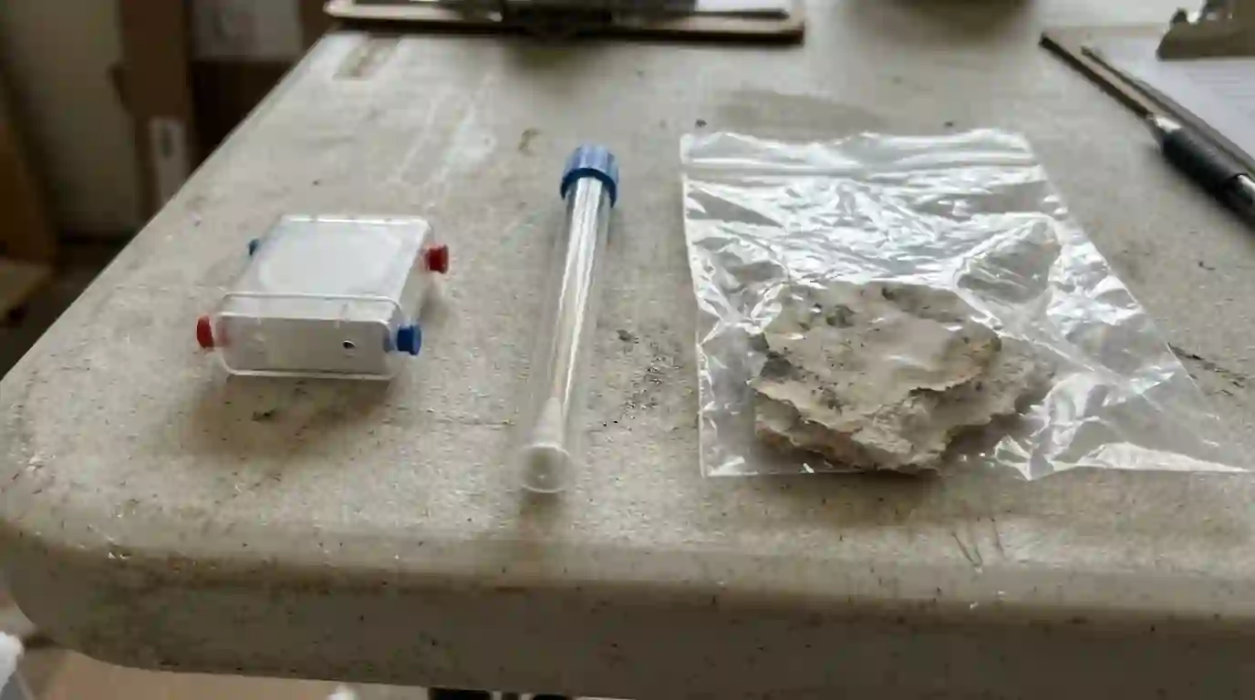 Air, swab and bulk mold samples