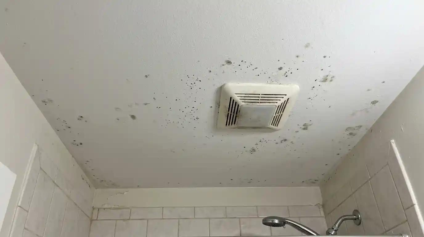 Surface mold spots on a bathroom ceiling near the fan