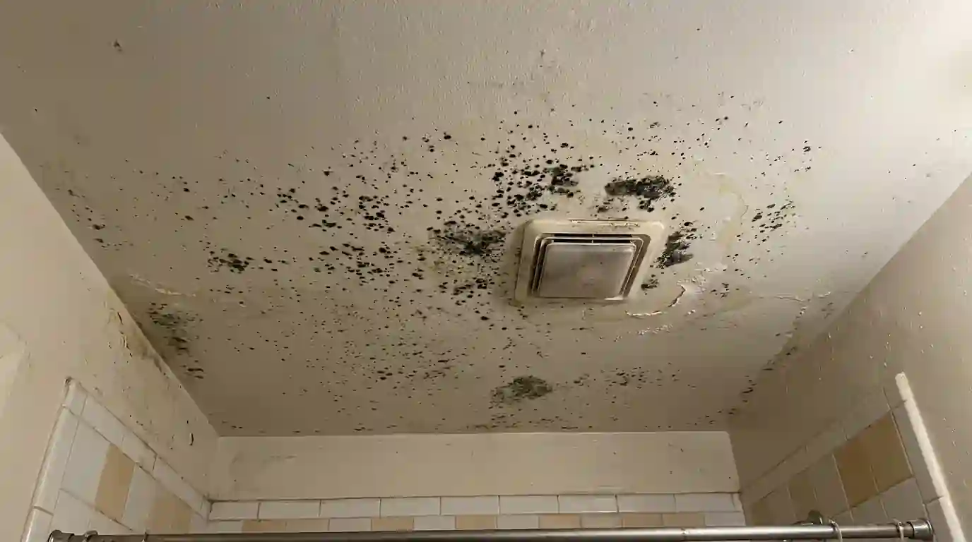 Mold spots on a bathroom ceiling near the exhaust fan