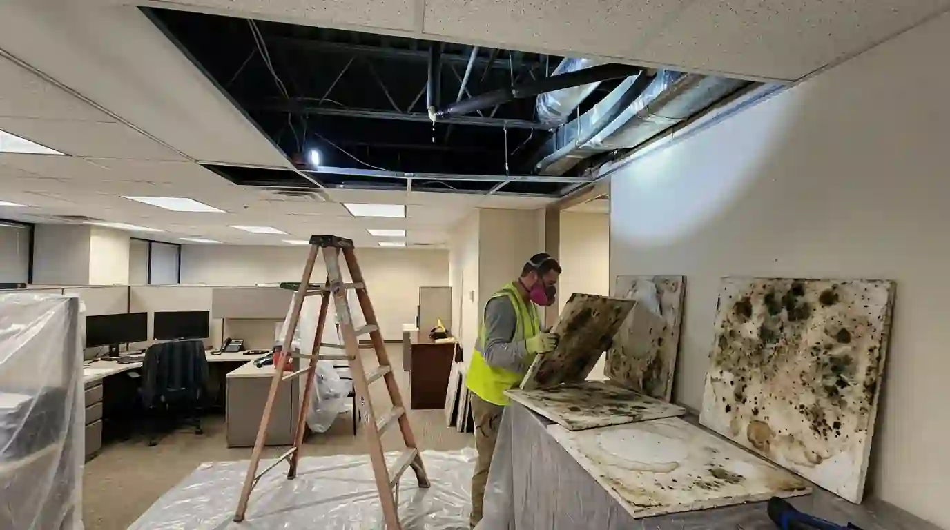 Mold on ceiling tiles under a leaking condensate line