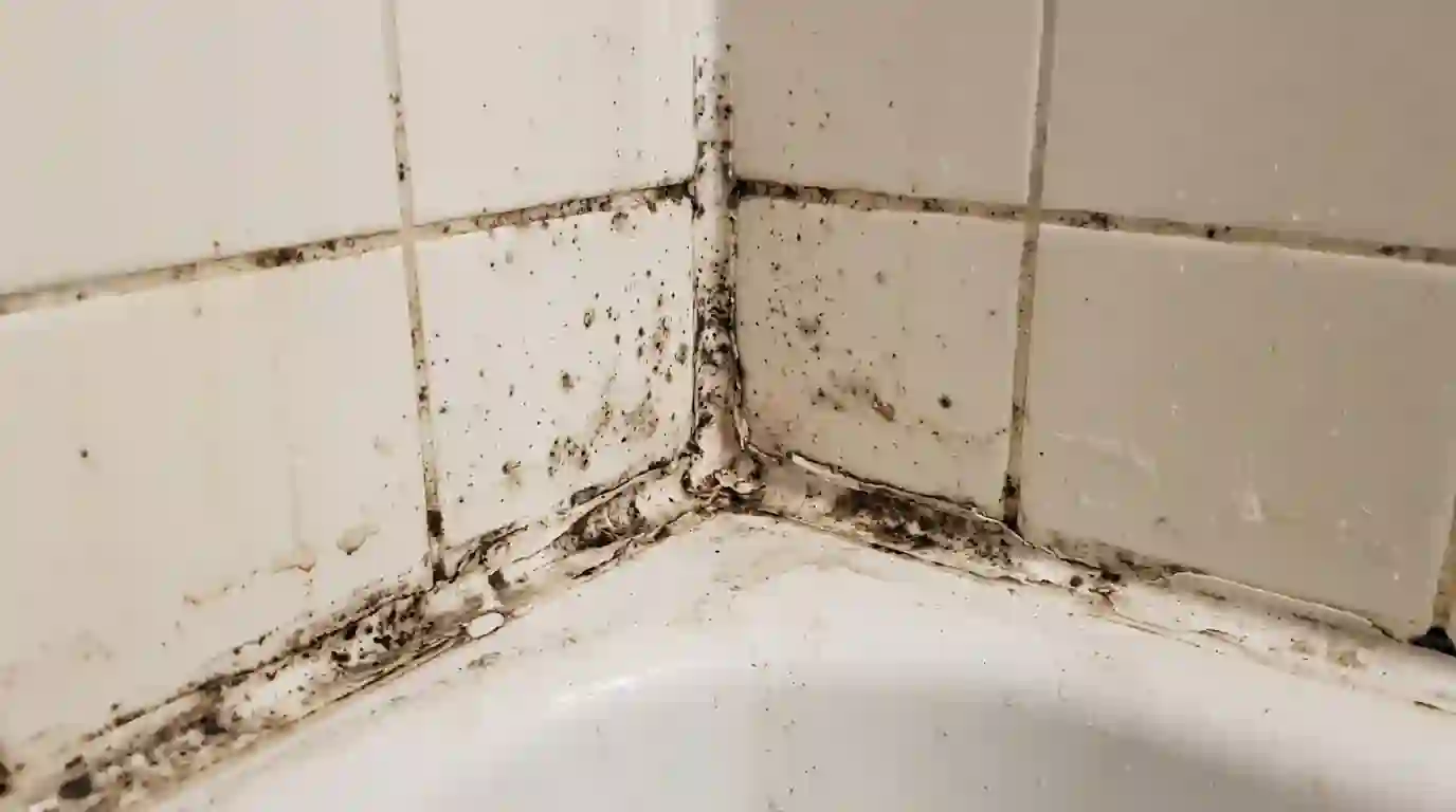 Dark spots on shower grout and caulk