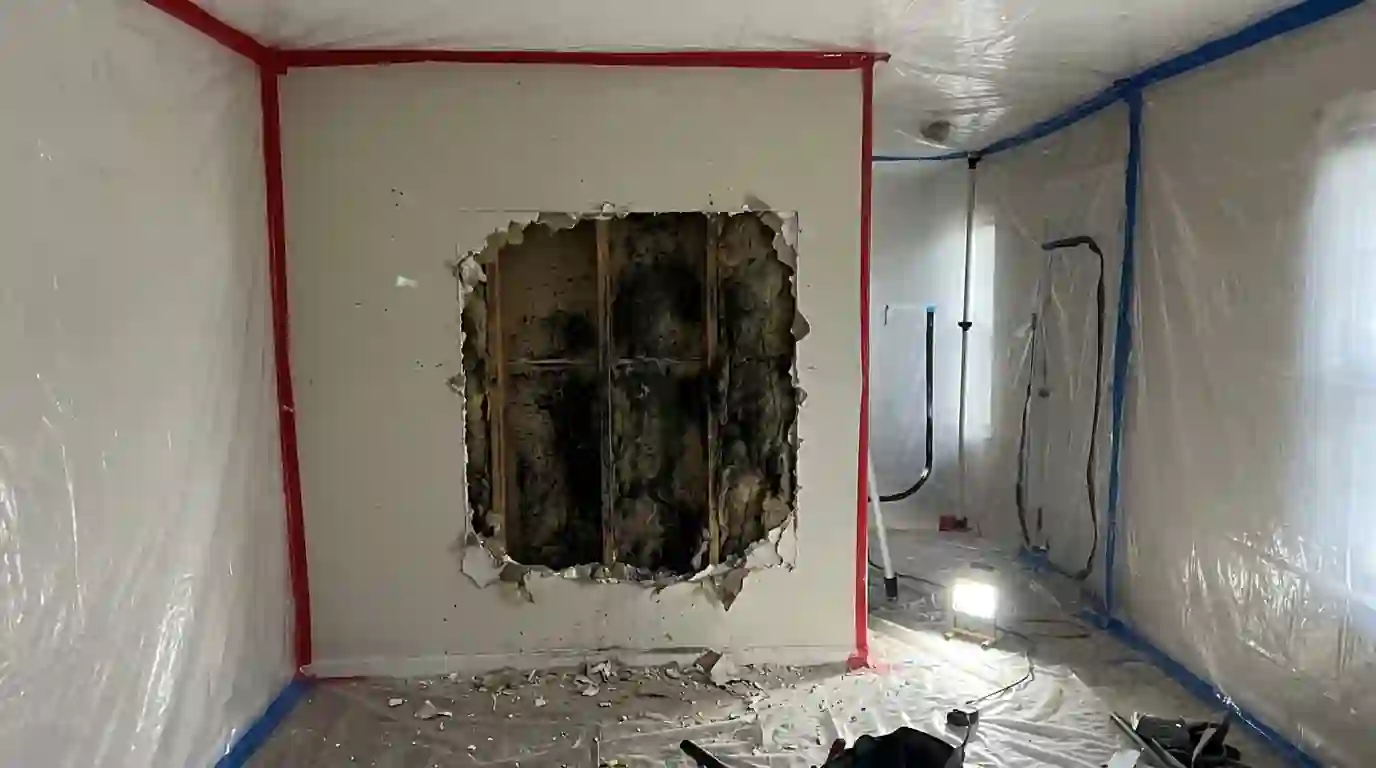 Mold on the back of drywall and on the sill plate