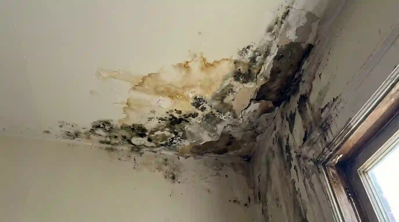 Top-floor ceiling stain below a roof leak